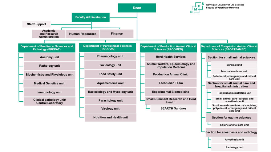 Organization Chart for the Faculty of Veterinary Medicine