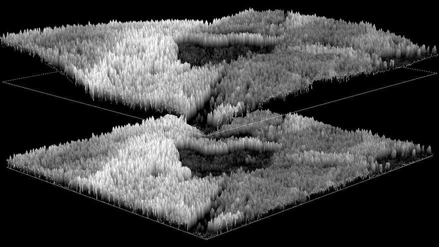 Comparison of DSM at original elevation (top) and CHM (bottom) with elevation values at +200m. The edge of the forest is clearly visible in both models. Schob & Callejas 2023