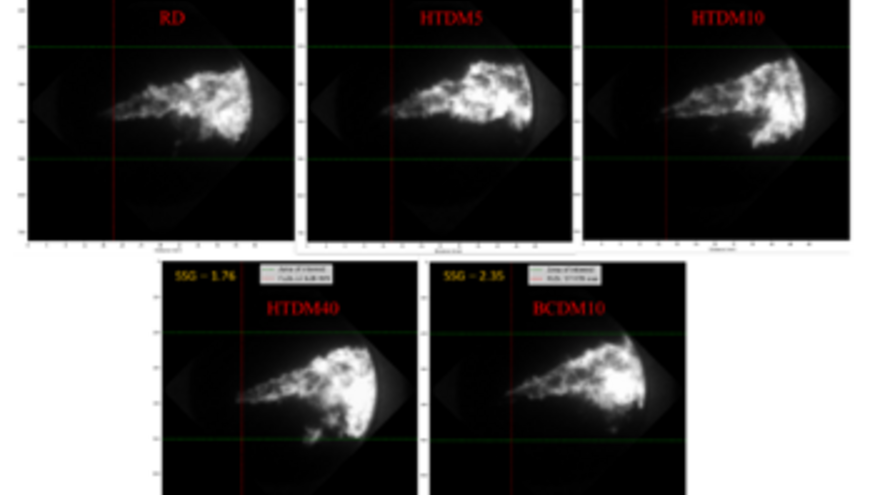 Optical images showing FLOL and SSG for different fuels