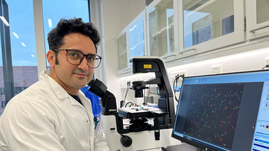 Amin Sayyari studerer spermienes bevegelsesmønster på en PC