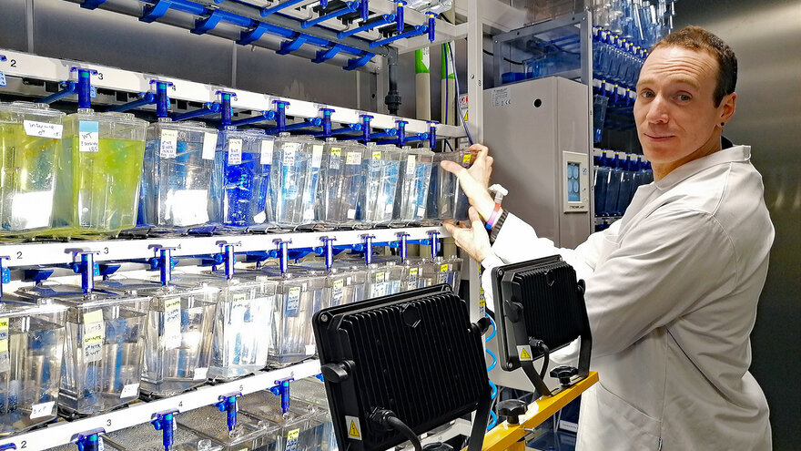 Romain Fontaine i laboratoriet hvor forskerne lyssetter fisketanker med de samme lysnivåene de har funnet ute