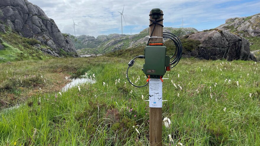 En akustisk flaggermusdetektor (Wildlife Acoustics Inc., Song Meter SM4BAT FS) utplassert nær en vindpark på Sørøst-Norge.