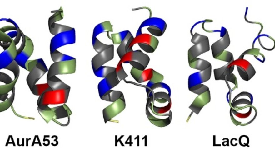 Design of Novel Saposin-like Bacteriocins Using a Hybrid Approach