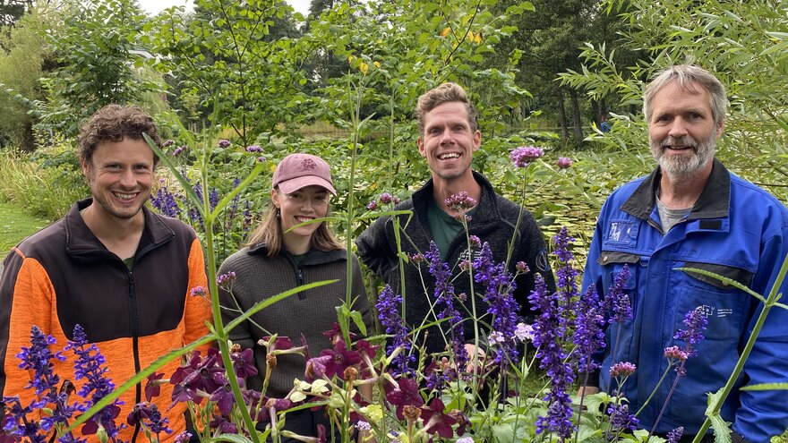 David Arnott, Camilla Svarverud, Filip Ihrsen og Tomas Høglund viser sommerblomster 2024