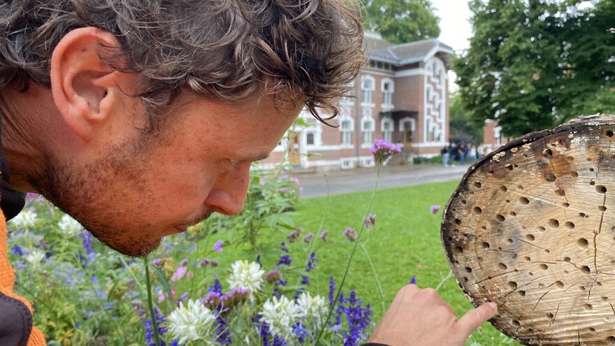 David Arnott sjekker om insektsboligene er i bruk, 2024