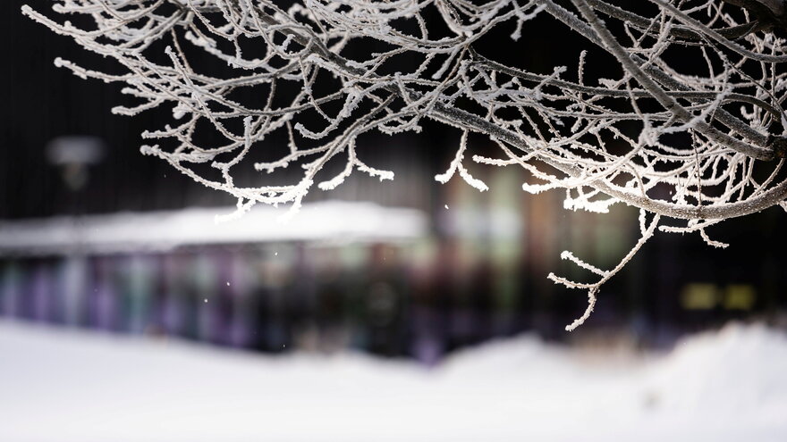Vinterbilde av NMBU campus, januar 2024.