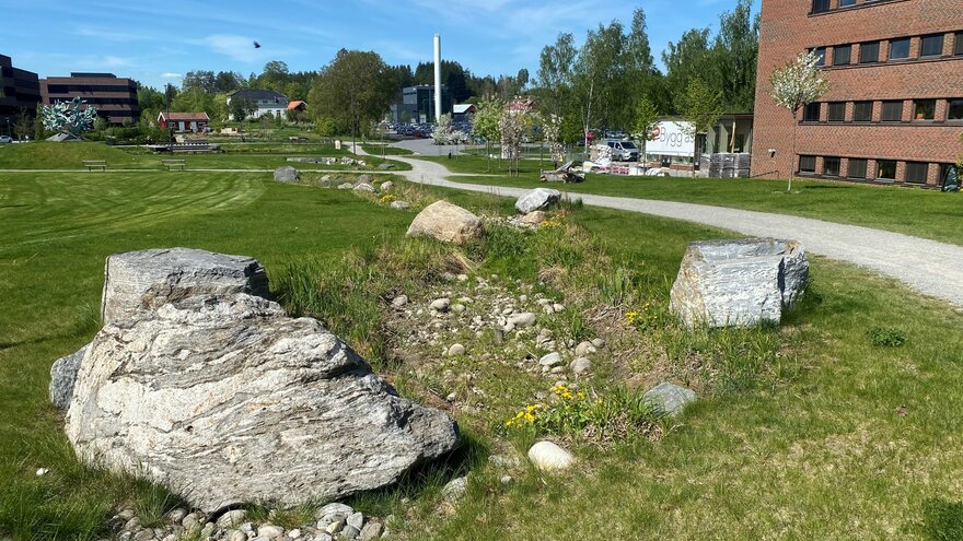 Den tørrlagte bekken mellom spredte store steiner og en noe misfornøyd beplantning flankerer her en slynget gangvei vi ikke helt forstår oss på. Fra dette punktet skjermer trærne (foreløpig?) parkeringen, men forbrenningsanlegget bak parkeringen danner et blikkfang.