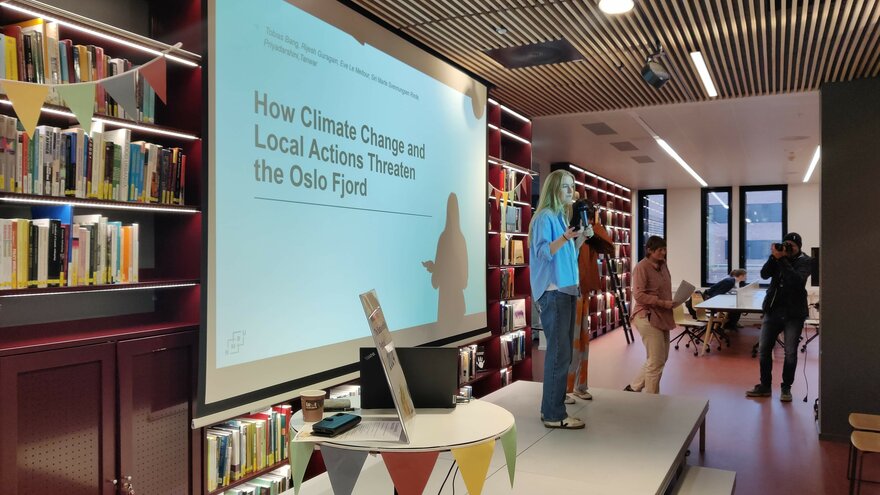 Introduction of the threats to the Oslo Fjord
