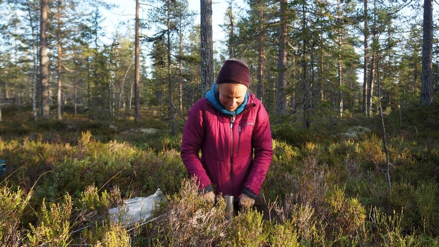 Kvinne i skogen