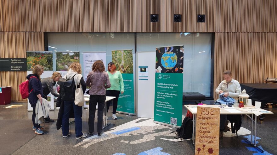 The sustainability festival - stands from the sustainability hub and Bua