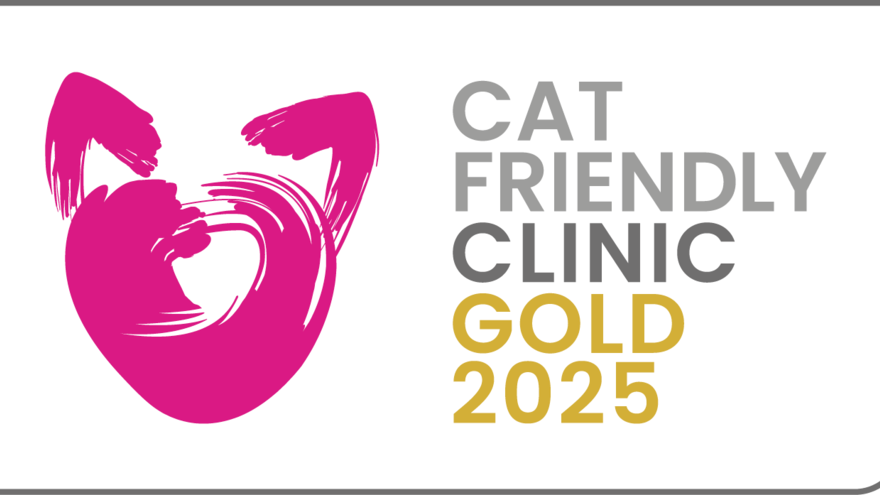 Bildet viser symbolet på Cat Friendly Clinic Gold 2025