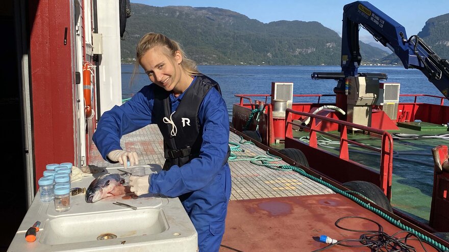 Linn sløyer fisk på kaia