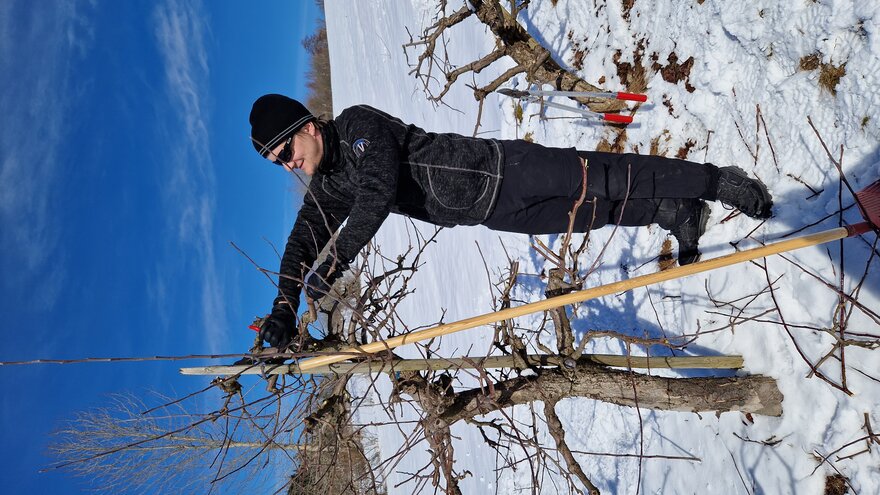 Oskar i eplehagen i februar 