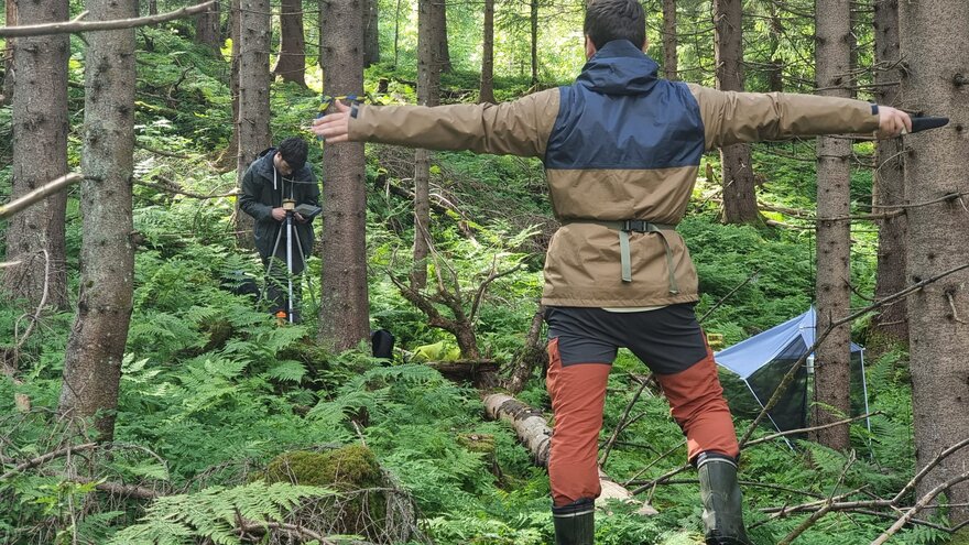 Skogbilete som viser to feltarbeidarar som måler posisjonen til eit daudt liggande tre