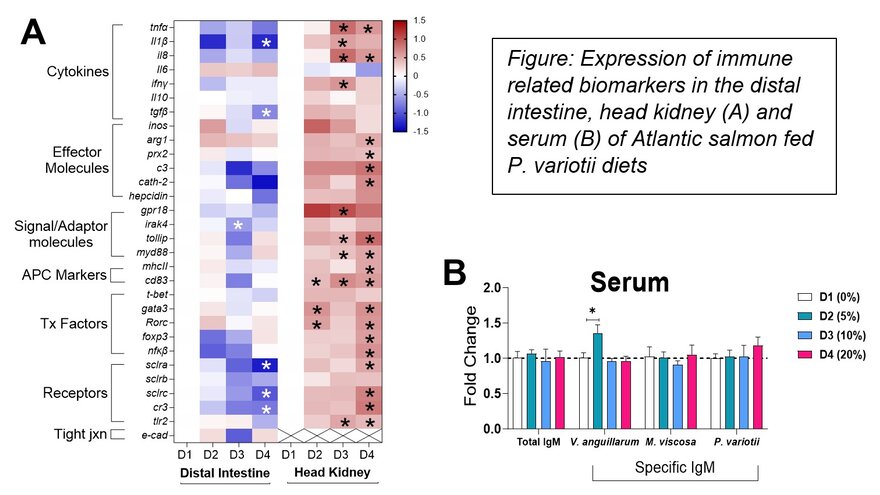 Expression of immune related biomarkers 