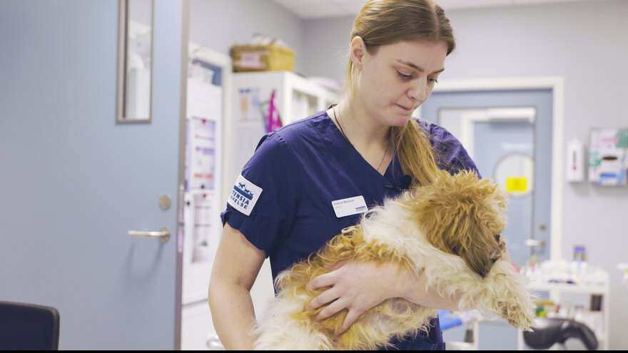 Hanne Brenna med hund på Evidensia Dyresykehus