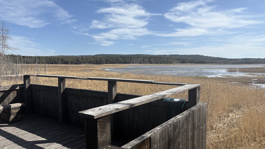Tysjöarna Bird Sanctuary field excursion, showing the bird Lookout and the intended habitat plan and layout of the reserve