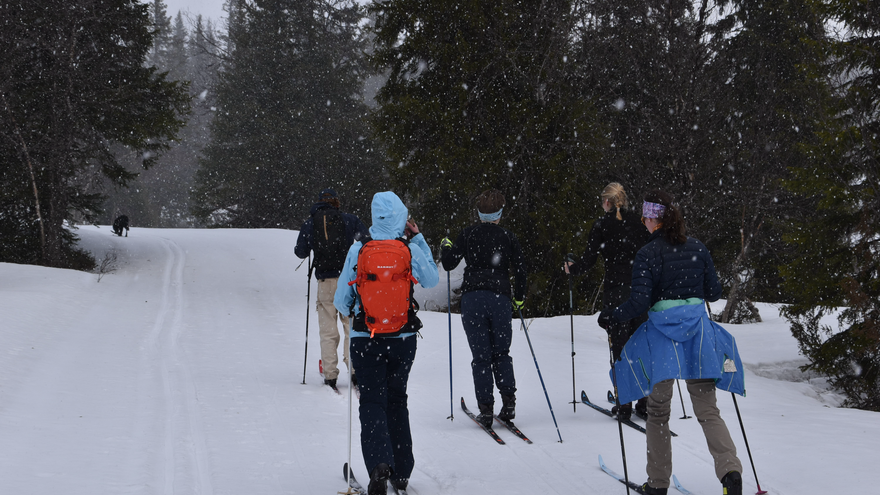 Recreating on  Edsåsdalen, during a field excursion for VIMAS & ETOUR 