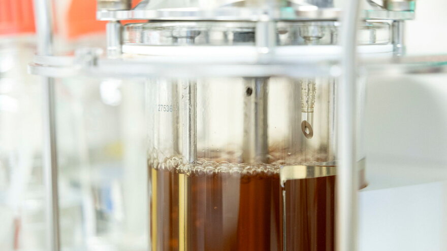 Produksjon av enzymer på en 1L bioreaktor på NMBUs fermentasjon laboratoriet.
Production of enzymes in NMBUs fermentation laboratory.
Jobben på lab kan være slitsomt og innebærer lange dager, men er veldig gøy likevel.
Working in the lab of course c