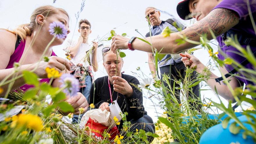 Bildet er tatt i forbindelse med kurs for studenter fra MINA NMBU som lærer seg plantekjennskap