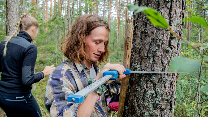 Seksjon For Fornybar Energi Og Skogvitenskap | NMBU