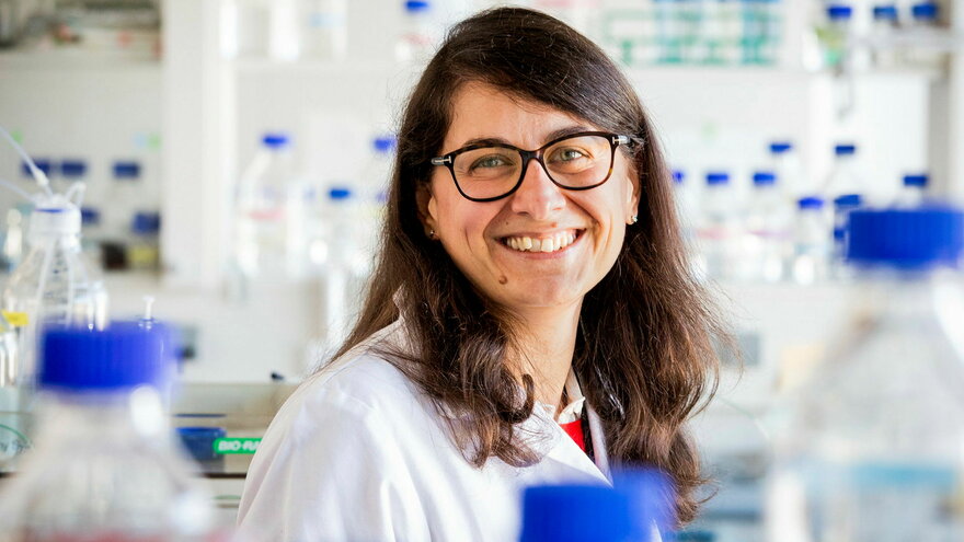 The Protein Engineering and Proteomics Group ( PEP )
PEP-gruppen Bildet viser Sabina Leanti La Rosa
Forsker , Fakultet for biovitenskap
Institutt for husdyr- og akvakulturvitenskap