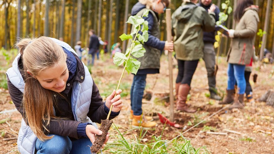 Jente planter et tre i skogen