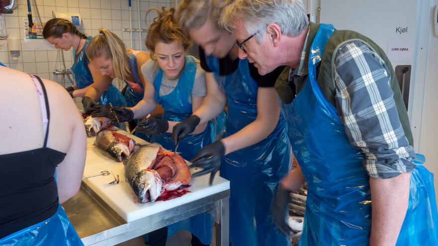 På feltkurs på Frøya i 2018 lette studentene etter tegn på sykdom hos laksen. En av studentene fant tegn på HSMB-syk laks. Her underviser Øystein Evensen studentene Andreas Gjerstad og Malin Brimsholm.