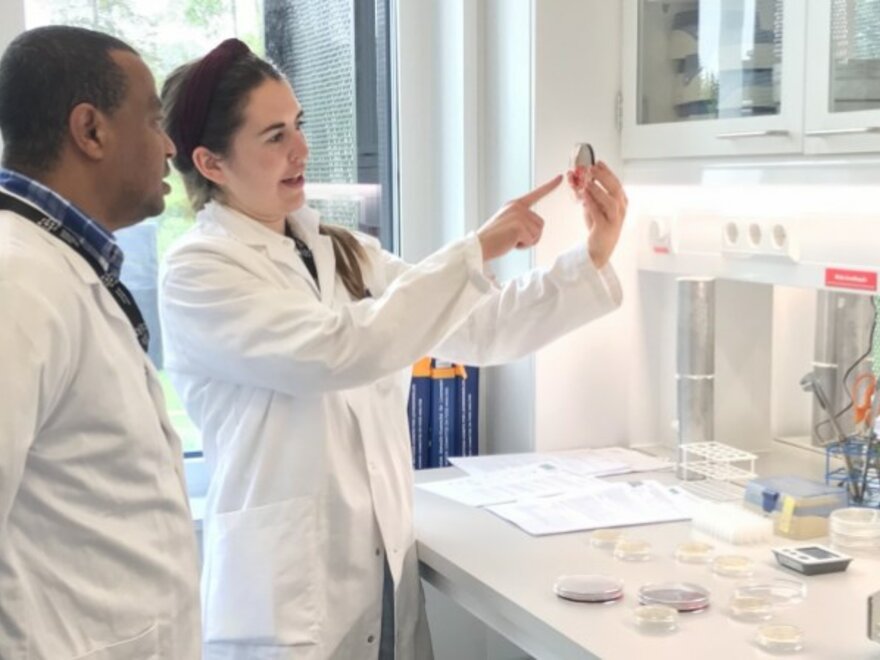 Forskere i et laboratorium ser på en petriskål