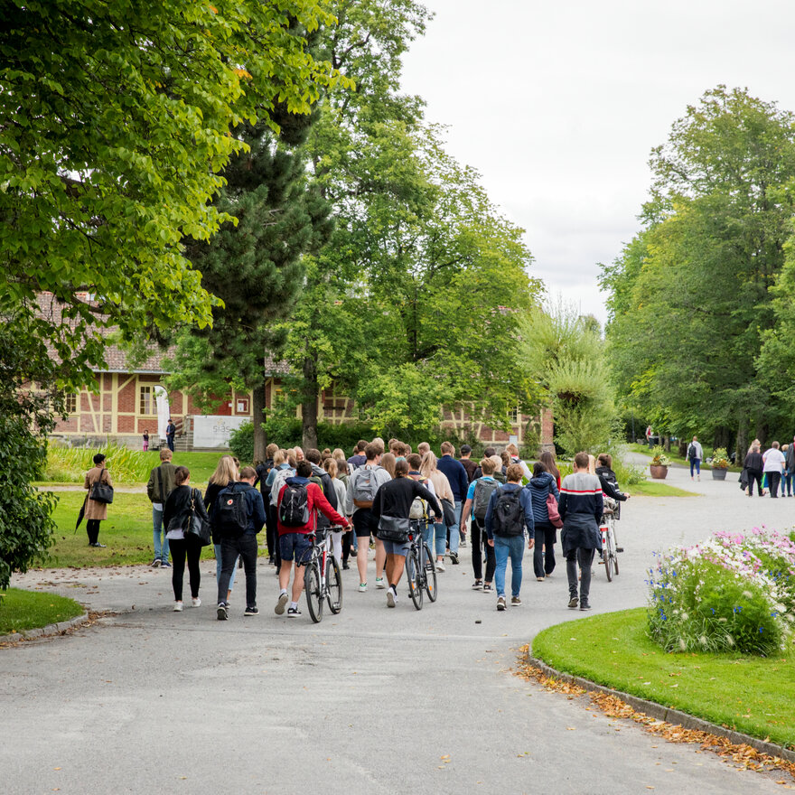 Studenter på vandring i parken