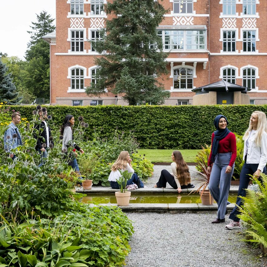 Glade studenter i parken som representerer studieliv