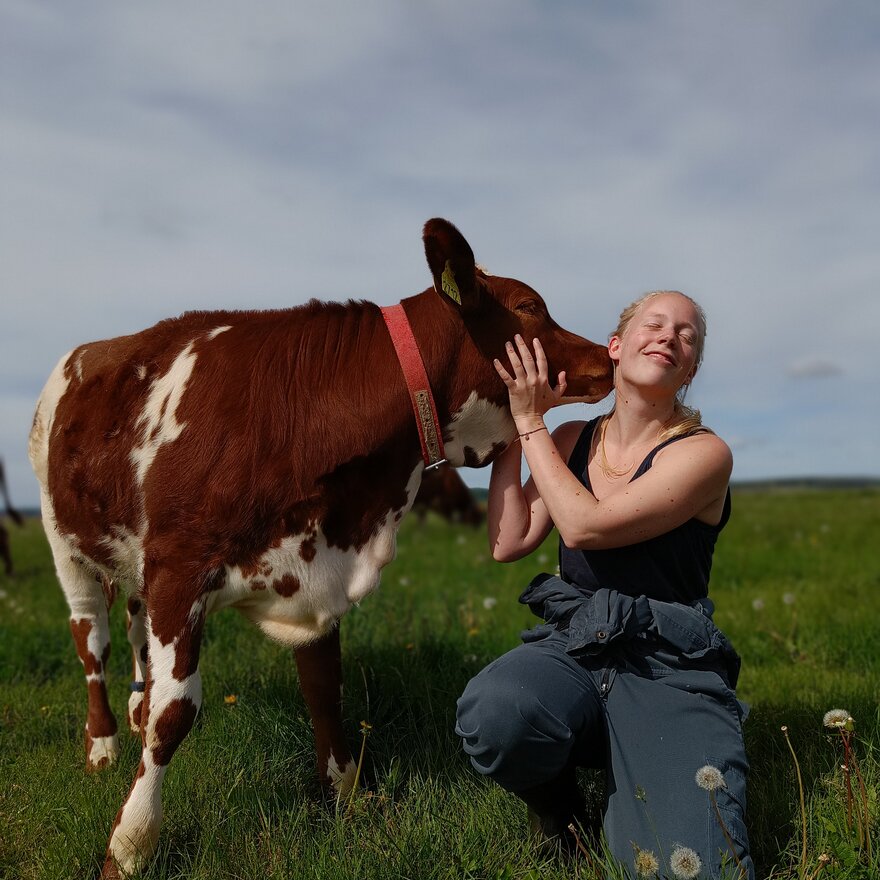 Rosann og et ungdyr