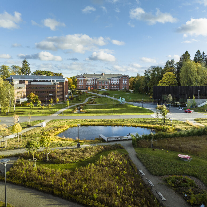 Dronebilde av campus