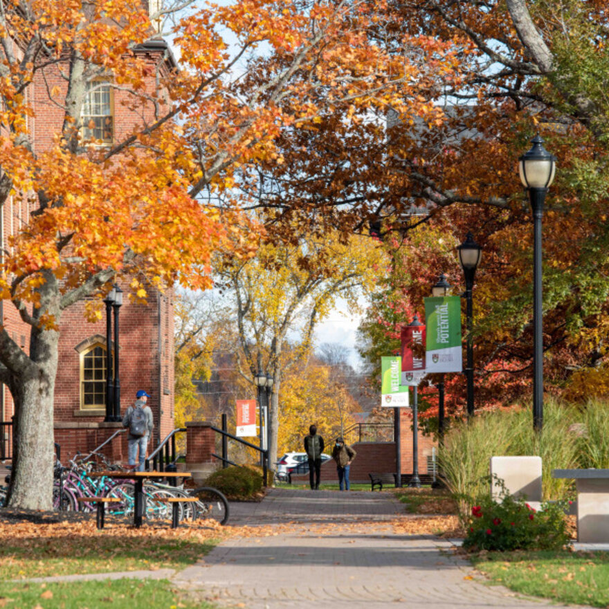 University of Prince Edward Island