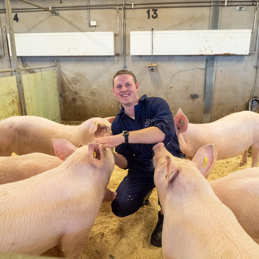 Bildet viser veterinærstudent Steffen som er omgitt av griser.