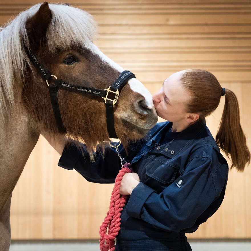 Bildet viser dyrepleierstudent Live som tar seg av en hest på Dyresykehuset – hest.