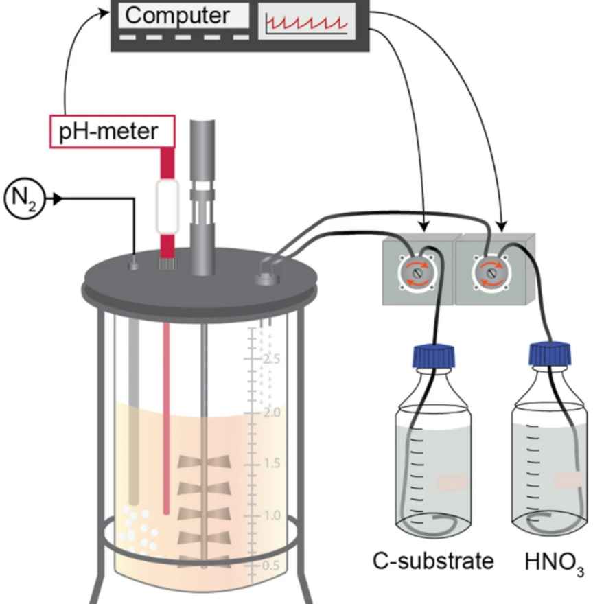 Bioreactor