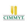 International Maize and Wheat Improvement Center (CIMMYT).