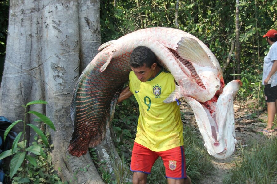 Det er god størrelse på fisken som blir fanget. Dr João-Campos-Silva, i bakgrunnen.