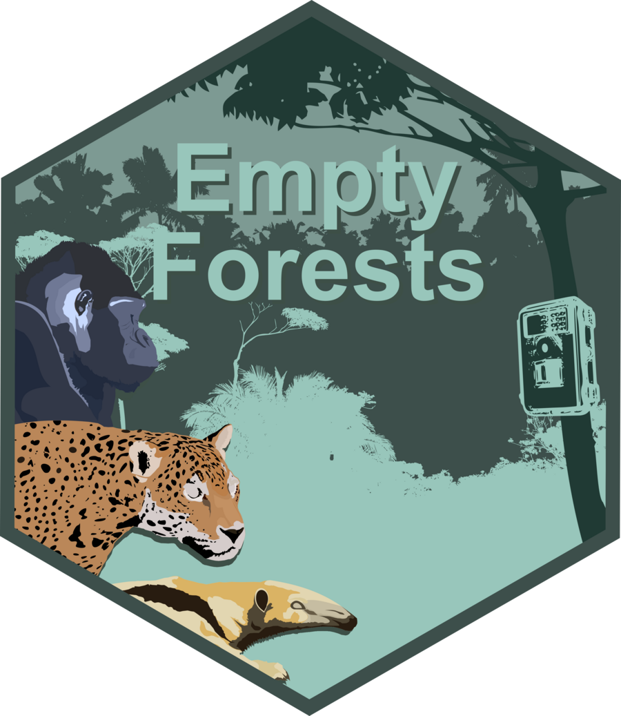 EmptyForests_2023_06_23