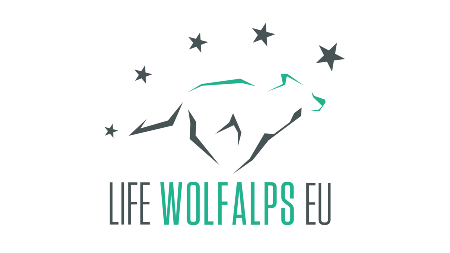 WolfAlps
