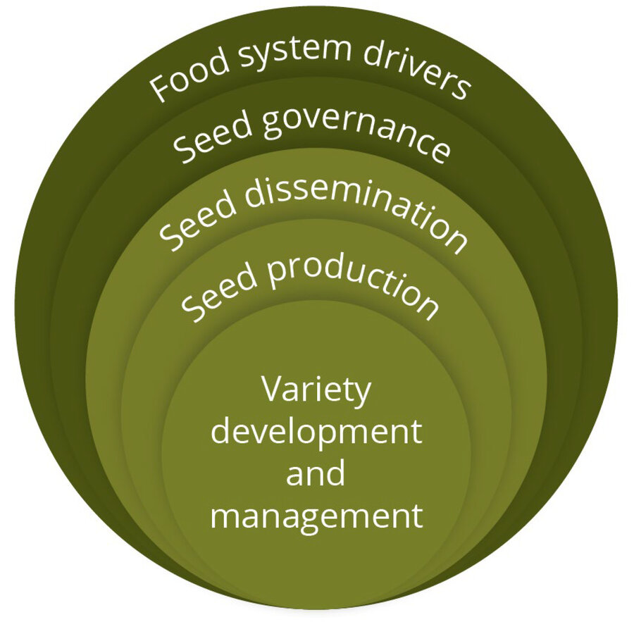 Conceptual framework identifying five factors to describe seed systems. The three in light green are basic "functions" that seed systems deliver. These are activities that seed system actors are engaged with. The two in dark green (seed governance and food system drivers) are broader contextual factors that influence how the seed system functions.