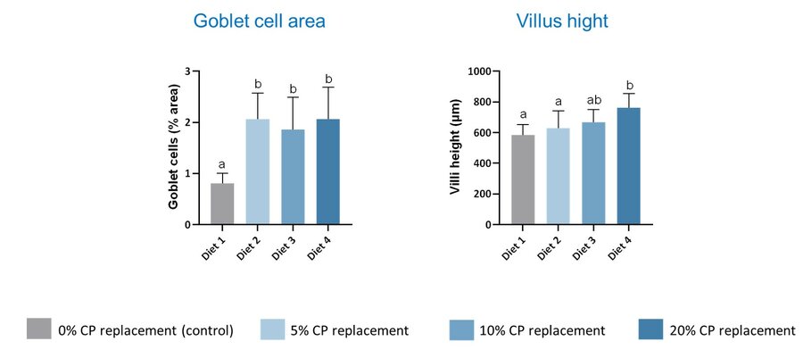 Results on villus height, and goblet cell area