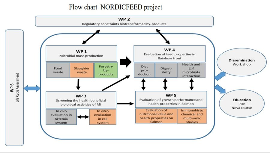 The flow chart of NORDICFEED project 