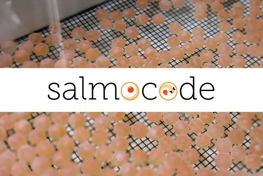 Salmocode