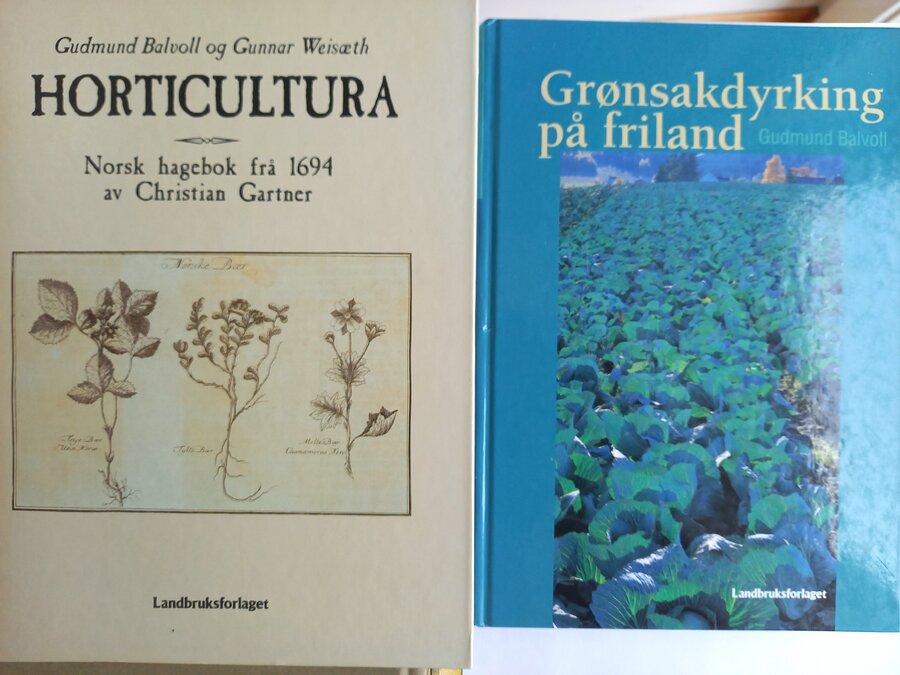 To viktige bøker av Gudmund Balvoll