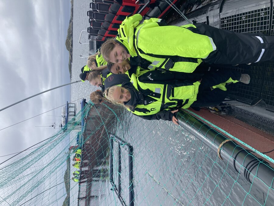 Flere veterinærstudenter ute på ei oppdretssmær på havet.