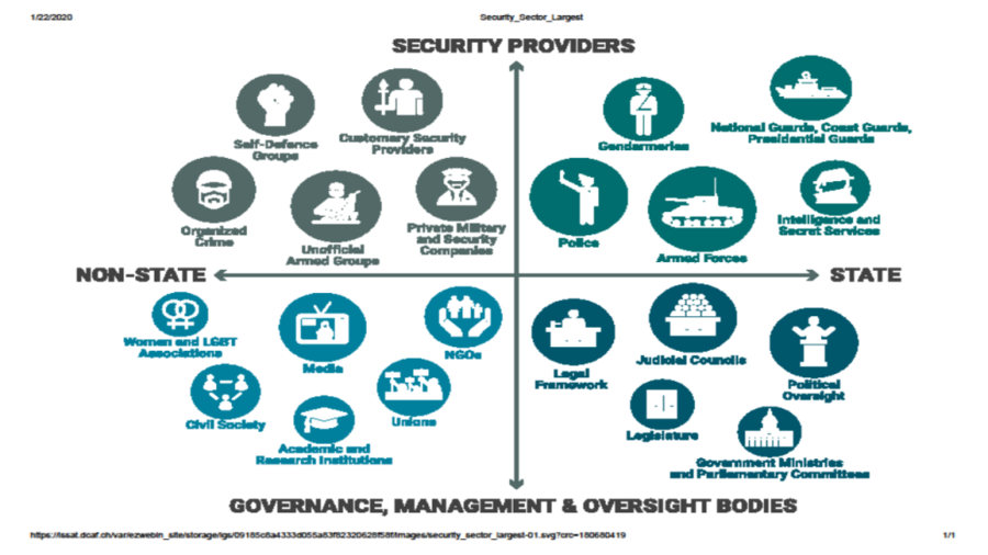 Overview of state and non-state security providers. 