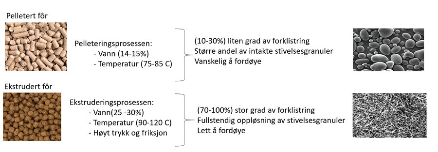 Figur - ekstrudering vs pelletering