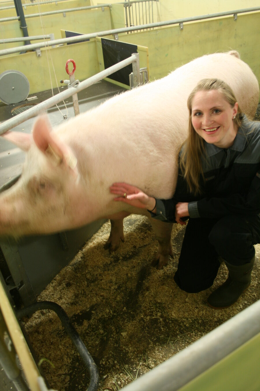 I arbeidet med doktorgraden har Ellen Marie Rosvold tilbrakt mange timer ved grisingsbingen